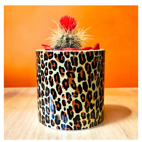 SOURPUSS LEOPARD PLANT CONTAINER - Picture 3 of 3